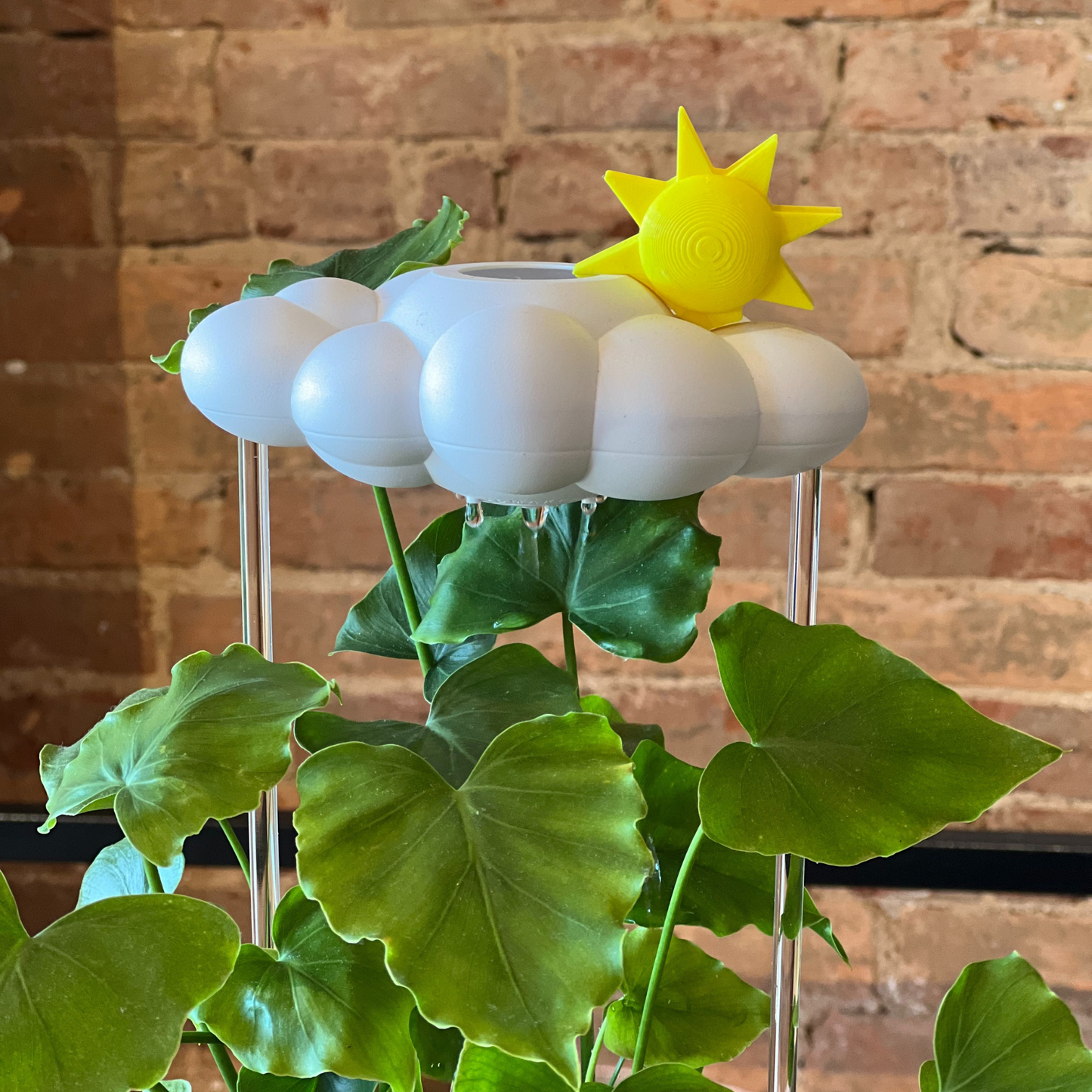 Original Dripping Rain Cloud with Sun Charm – houseplant accessory