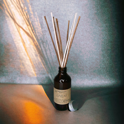 SALEM - REED DIFFUSER, REED DIFFUSER -- Vetiver, Clove, Patchouli & Cinnamon -- by Moon Water Apothecary! –