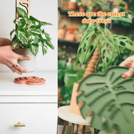 Tera Sausr - Leaf-shaped Pot Saucer - Drip tray for houseplants - Humidity tray