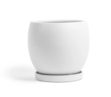 Bolle Porcelain Planter with Water Saucer