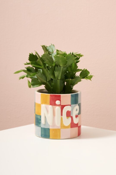 Naughty or Nice Checkerboard Ceramic Planter, 4-Inch