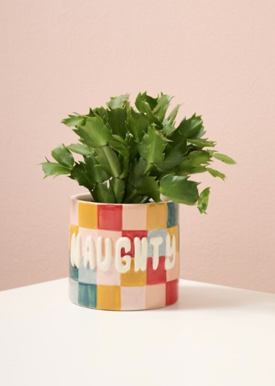 Naughty or Nice Checkerboard Ceramic Planter, 4-Inch
