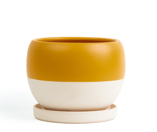 Bolle Porcelain Planter with Water Saucer