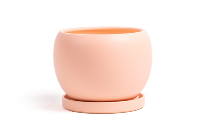Bolle Porcelain Planter with Water Saucer