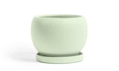 Bolle Porcelain Planter with Water Saucer