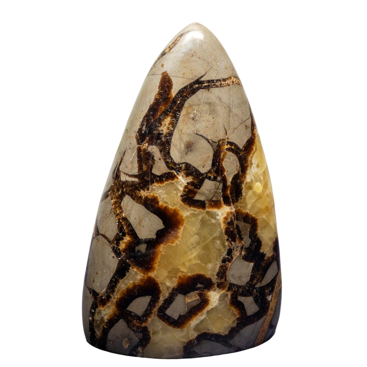 Septarian Stone Freeform – Freeforms