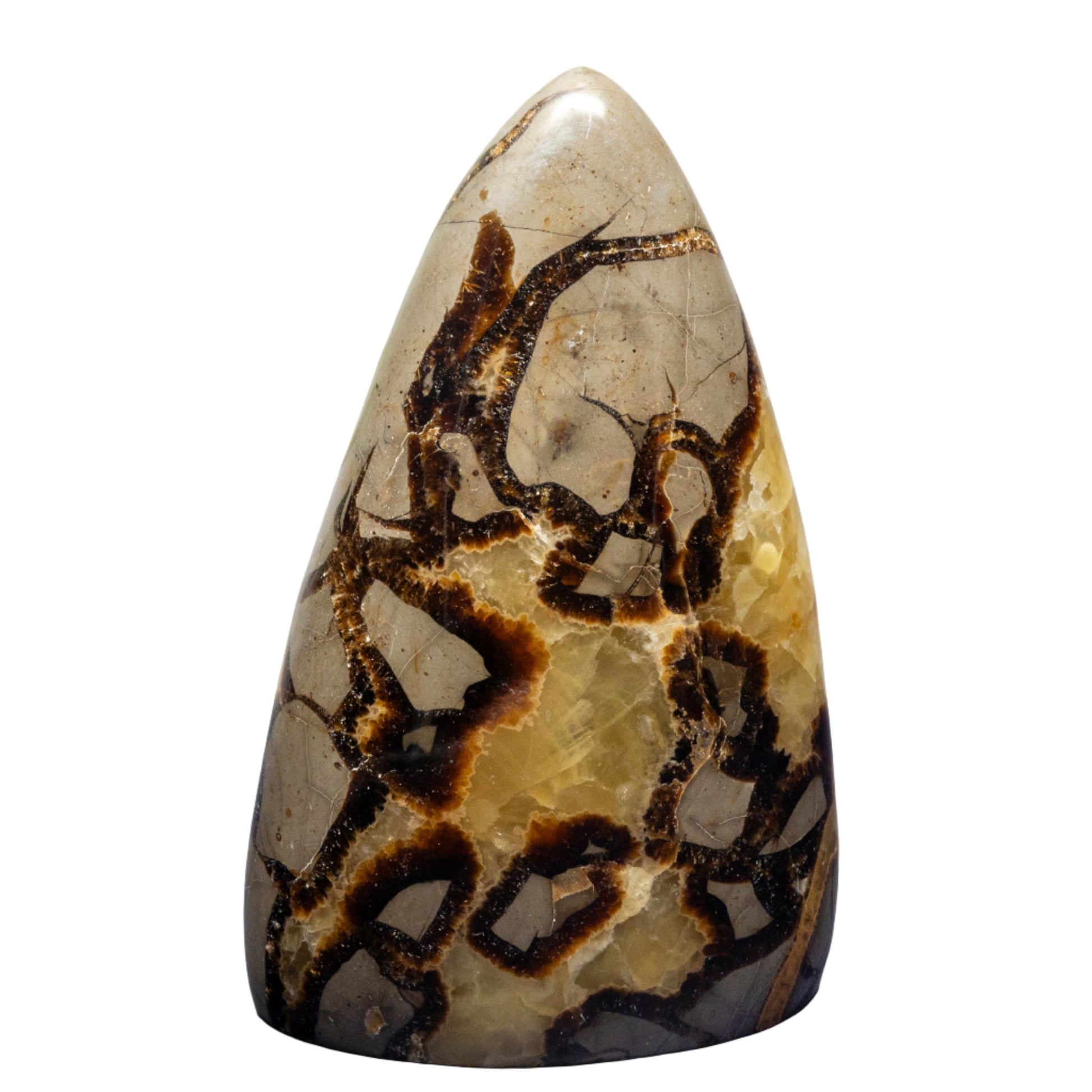 Septarian Stone Freeform – Freeforms