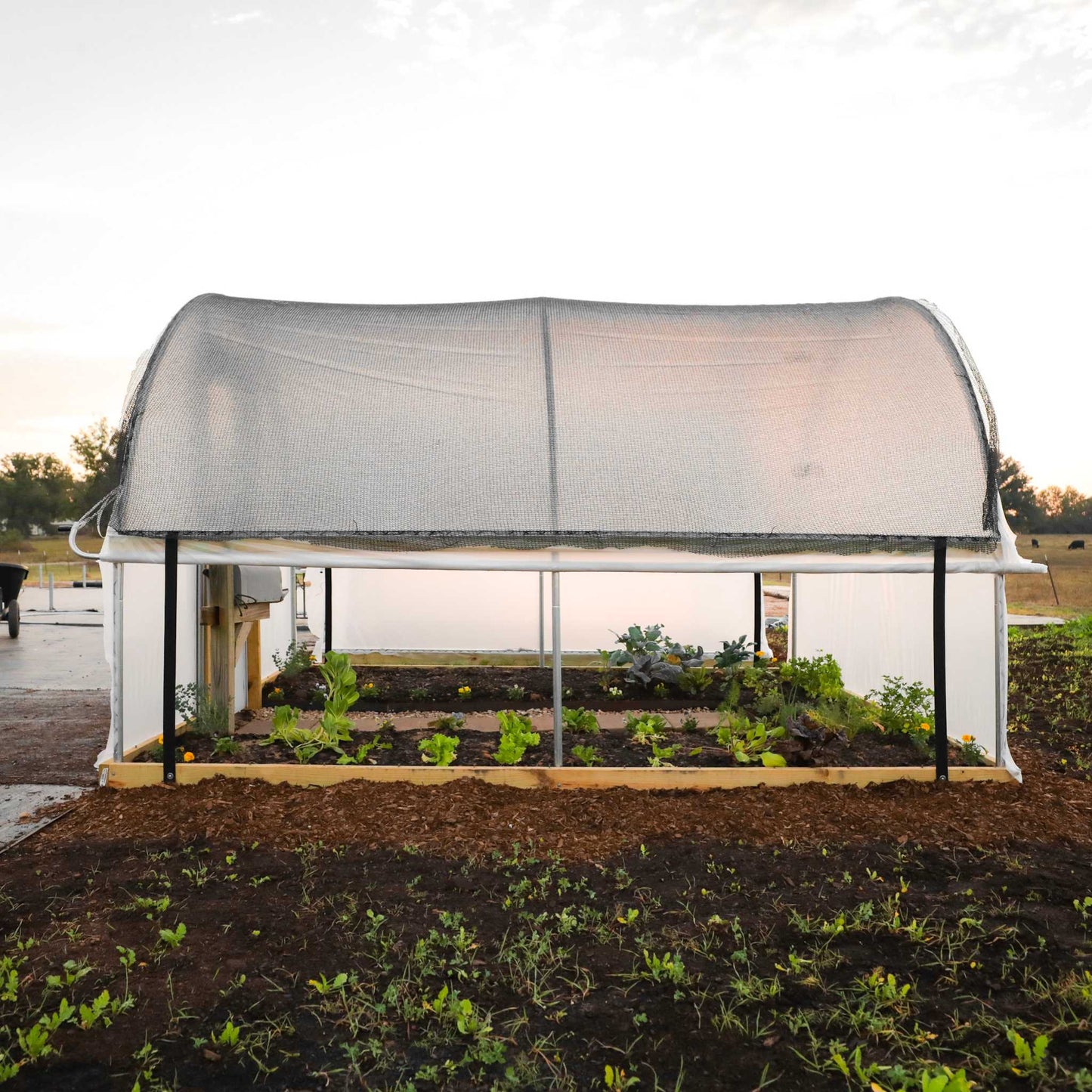 Hobby Greenhouse Kit –