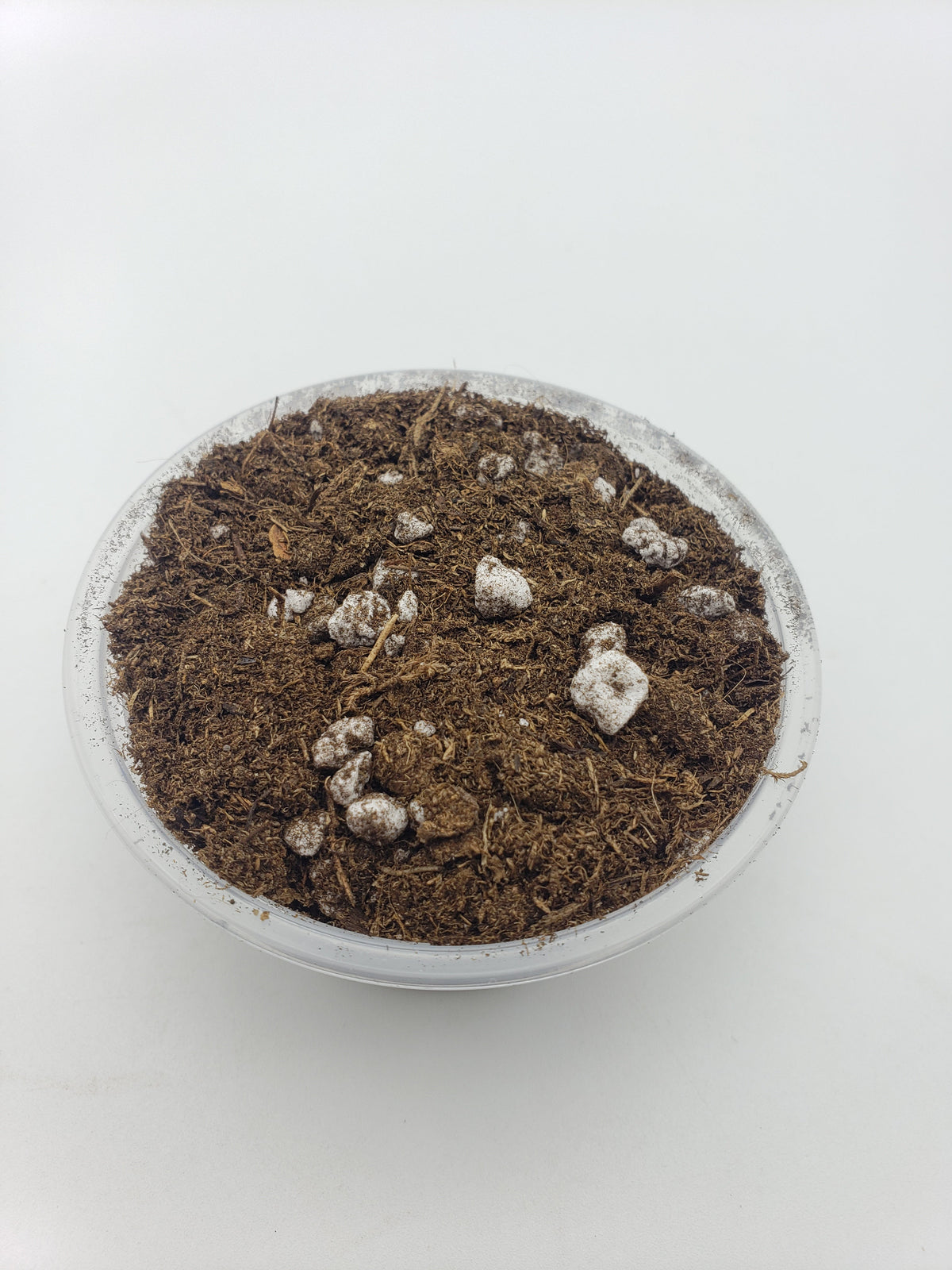 Carnivorous Plant Soil Mix for Venus Flytraps, Sundews & Sarracenia – Soil mix