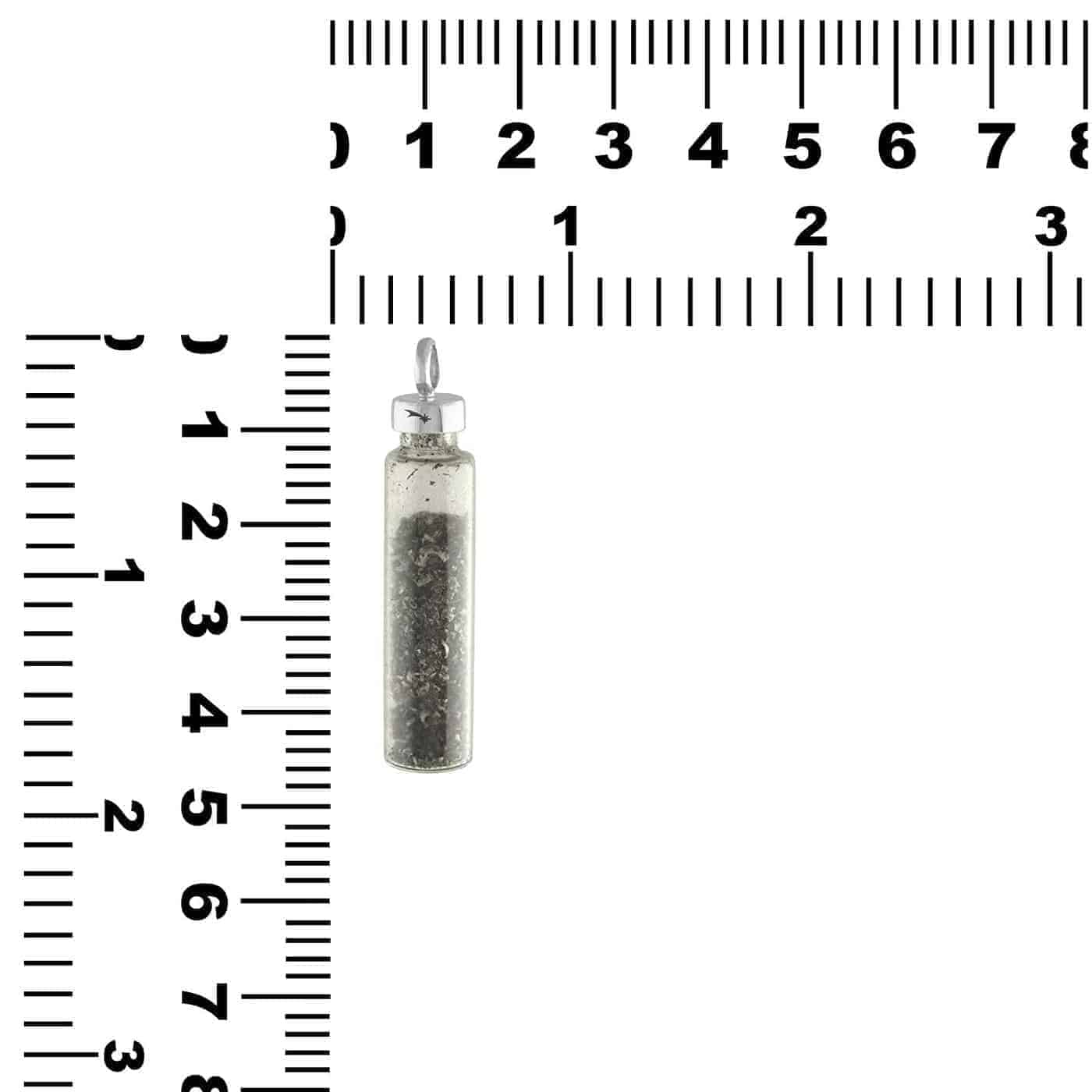 Starborn Gibeon Meteorite Star Dust Pendant in Sterling Silver – RP - Regular Price