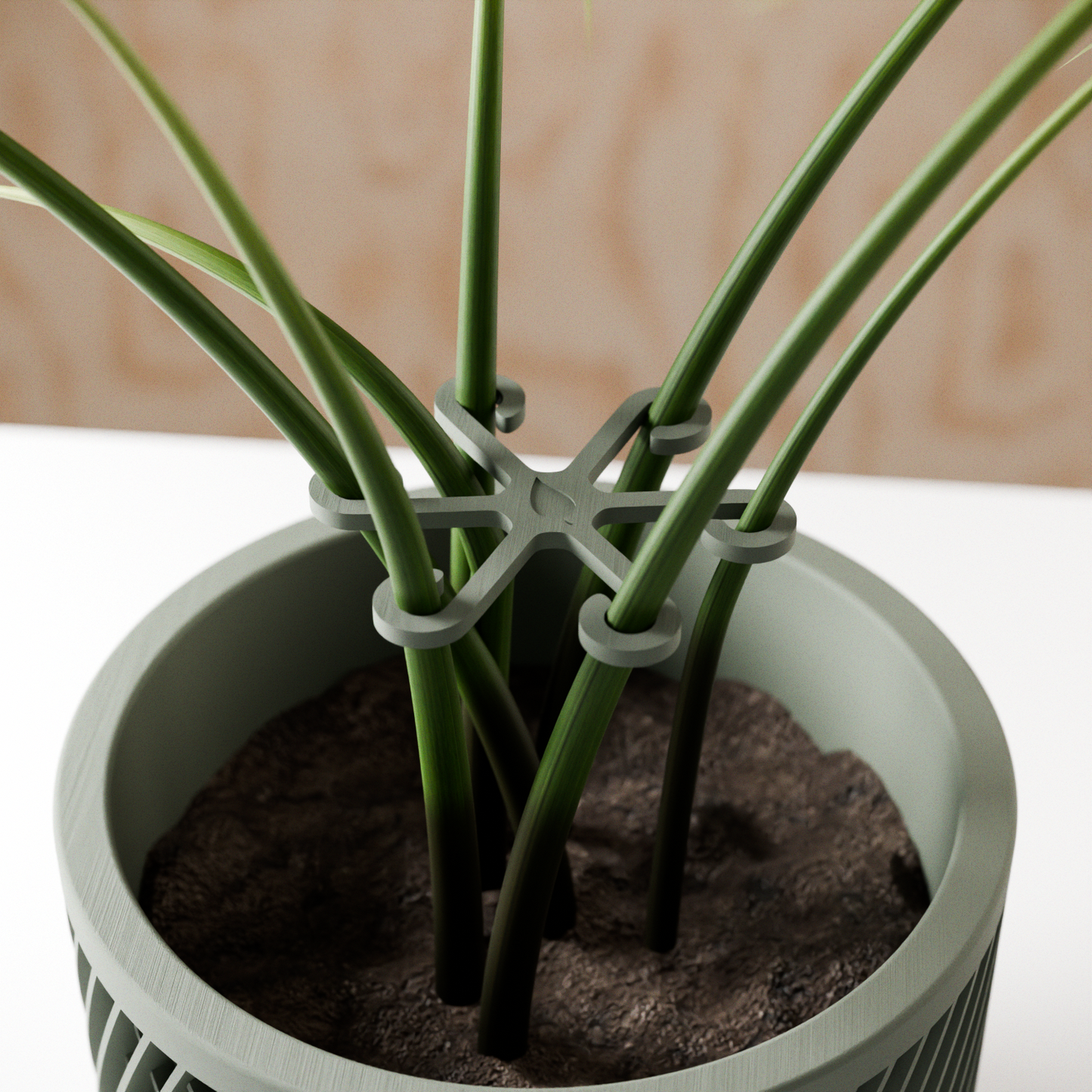 Climbing Plant Stem Support Stakes