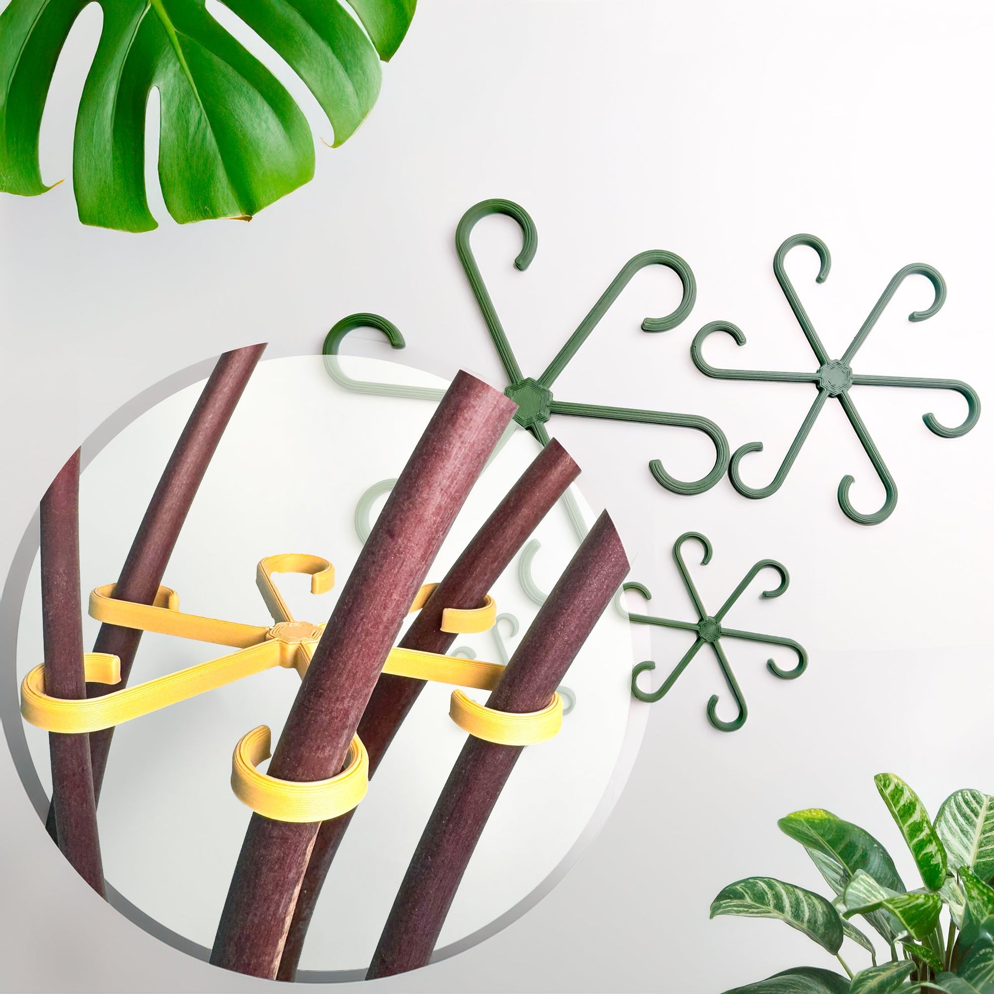 stakes for indoor plants Plant Stem Supports