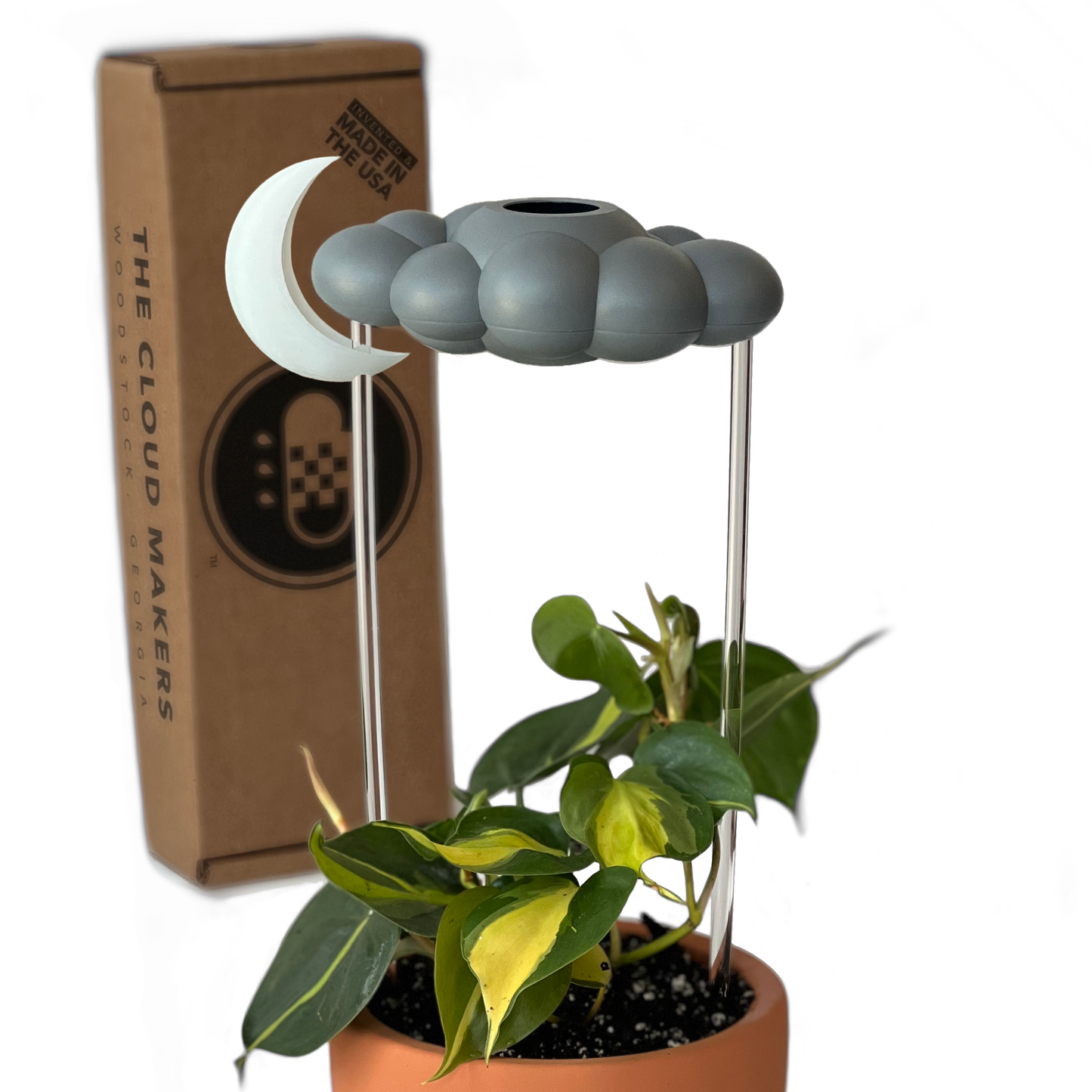 Stormy Dripping Rain Cloud with Glow in the Dark Moon Charm – House Plant Accessory