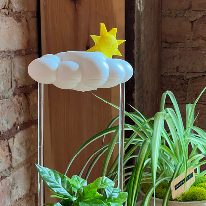 Original Dripping Rain Cloud with Sun Charm – houseplant accessory