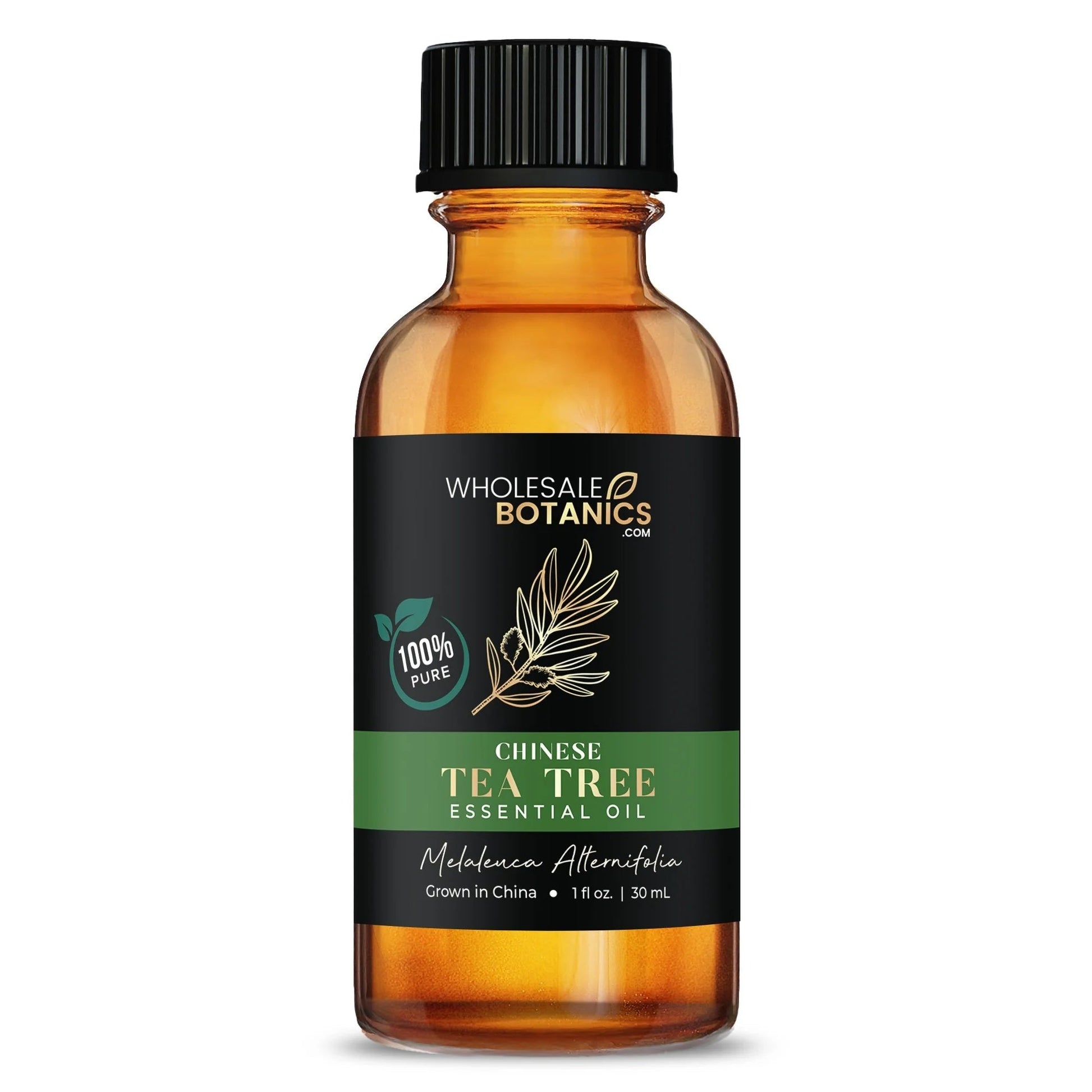 Most Popular Essential Oils Sample Kit – Essential_Oil_Bundle