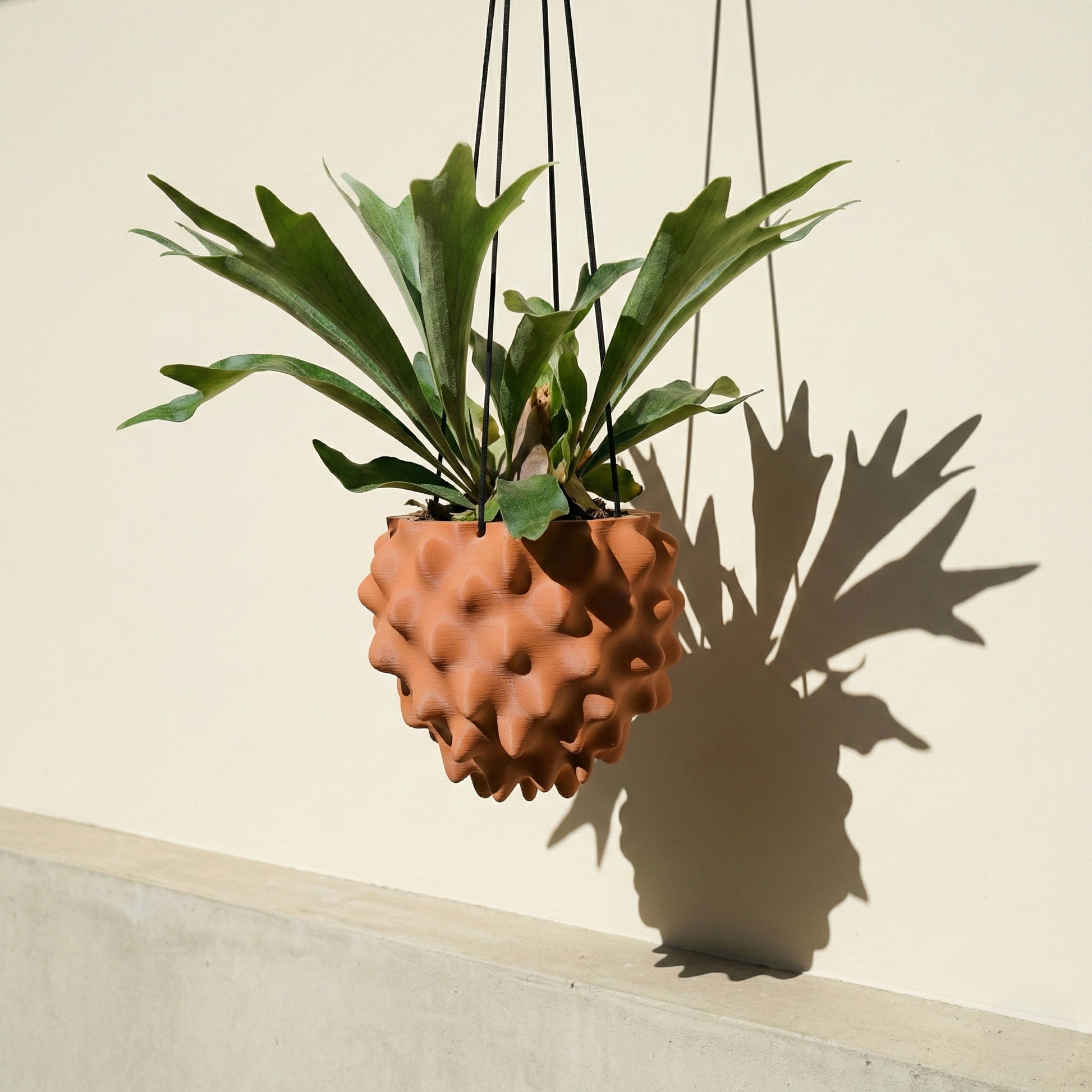 The Creature Orb Hanging Planter Pot With Drainage – Terracotta Pots & Planters