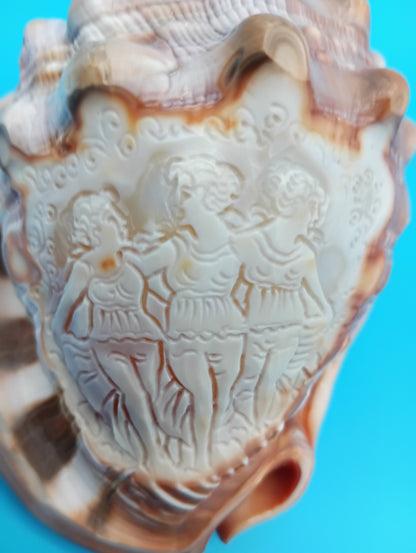Signed Carved Cameo Three Grace Graces Shell 4.4" - Cassis Cornuta – Display Shell