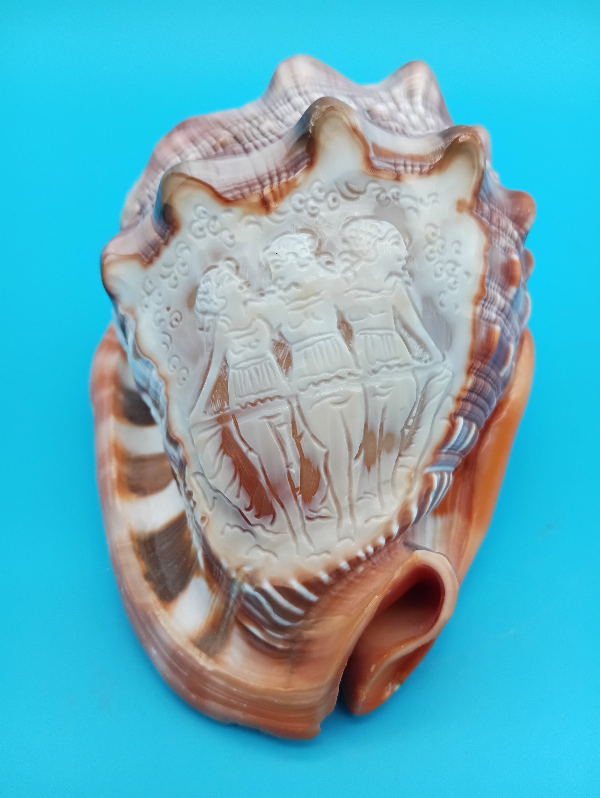Signed Carved Cameo Three Graces Shell 4.7" – Premium Coastal Decor Accent – Display Shell