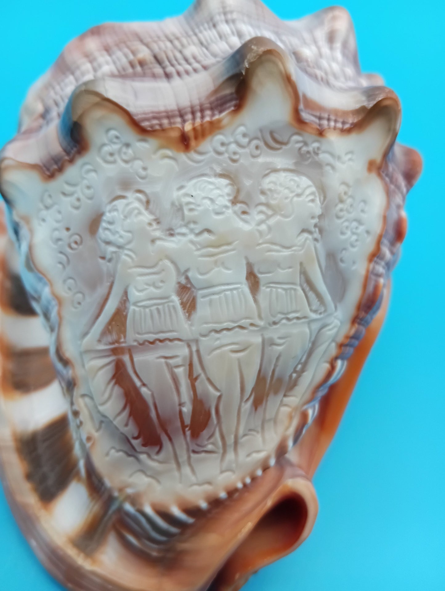 Signed Carved Cameo Three Graces Shell 4.7" – Premium Coastal Decor Accent – Display Shell
