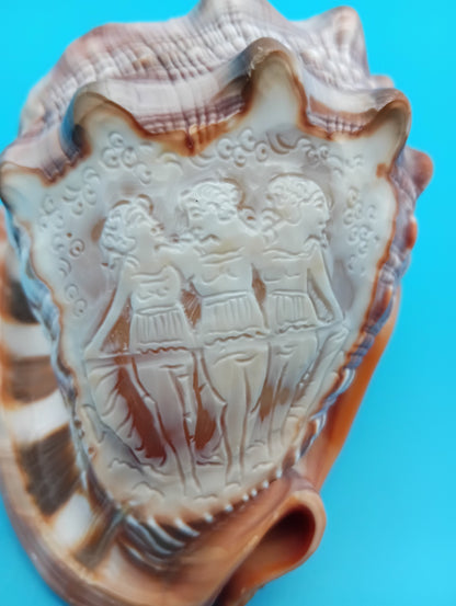 Signed Carved Cameo Three Graces Shell 4.7" – Premium Coastal Decor Accent – Display Shell