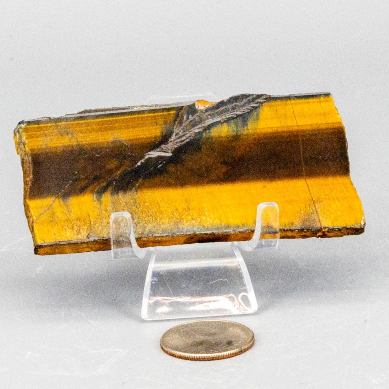 Tiger's Eye Polished Slices, Golden Healing Stone