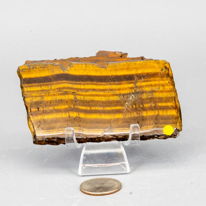 Tiger's Eye Polished Slices, Golden Healing Stone