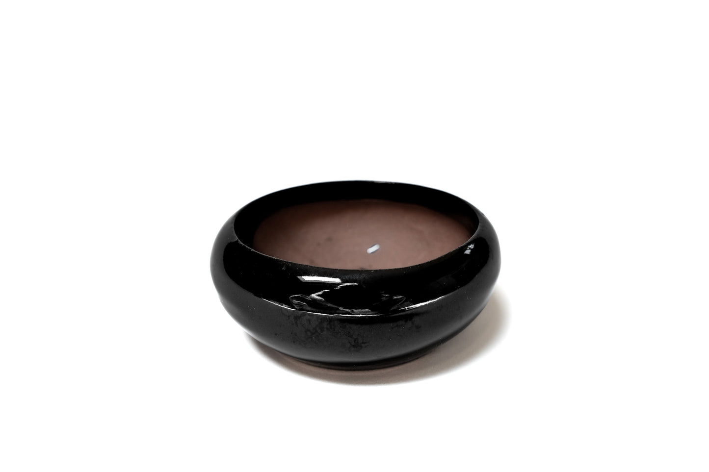 Fully Assembled Tillandsia Air Plant Dish Garden in Black Glazed Container –