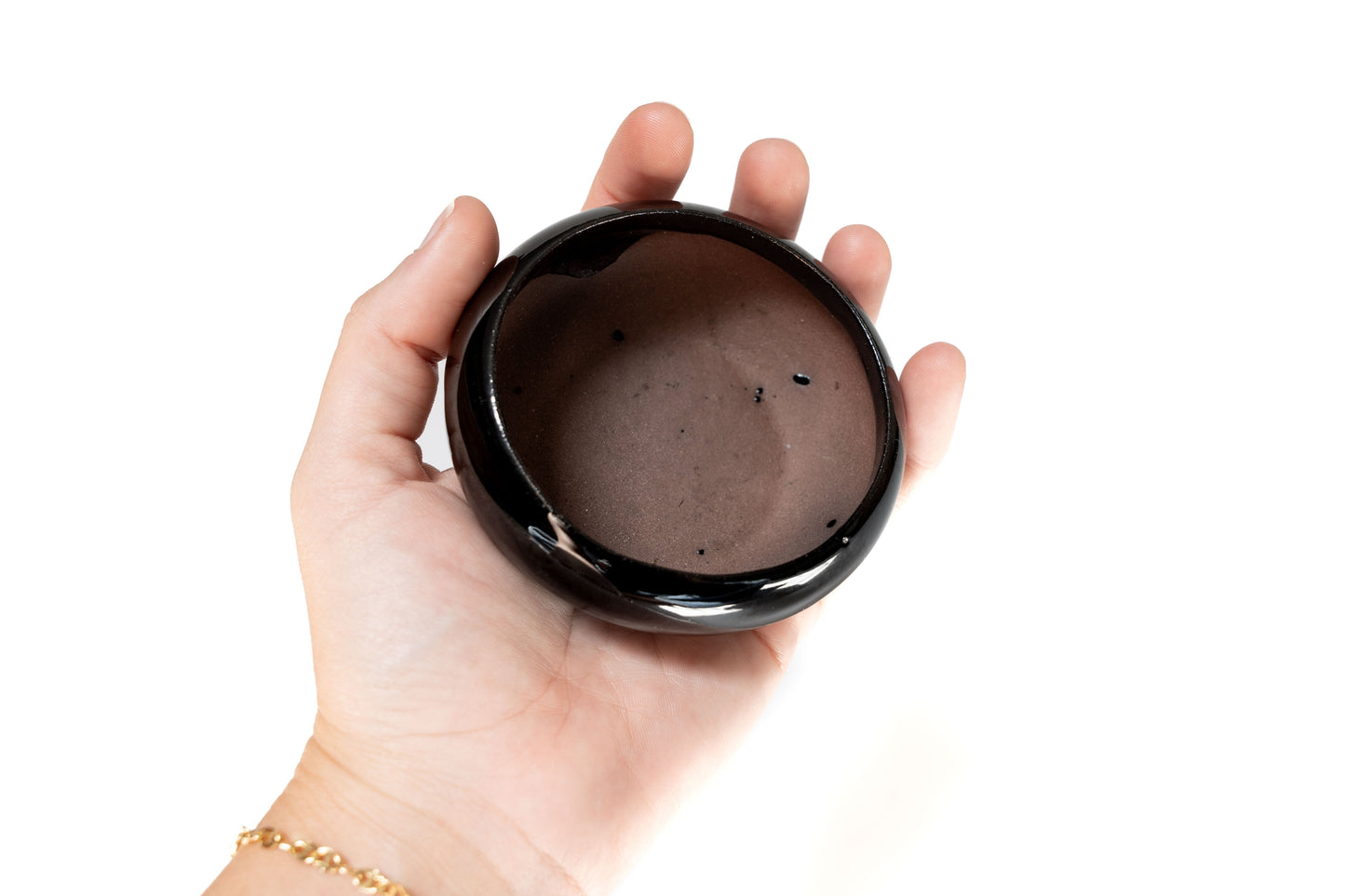 Fully Assembled Tillandsia Air Plant Dish Garden in Black Glazed Container –