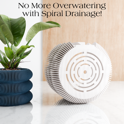 Wall Planter - Triple BUBBLES – 8" Off White Planter