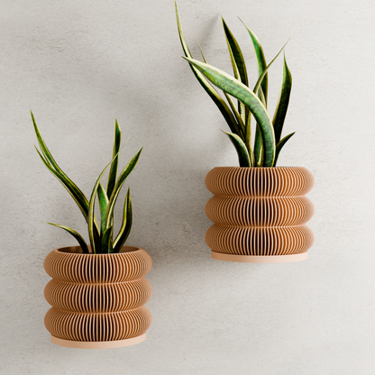 Wall Planter - Triple BUBBLES – Planter