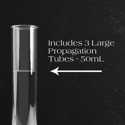 Dynamic Propagation Station