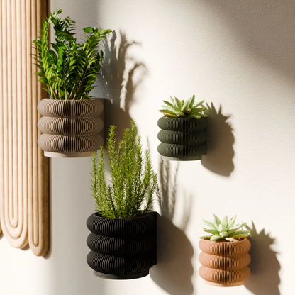 Wall Planter - Triple BUBBLES – Natural Wood Planter