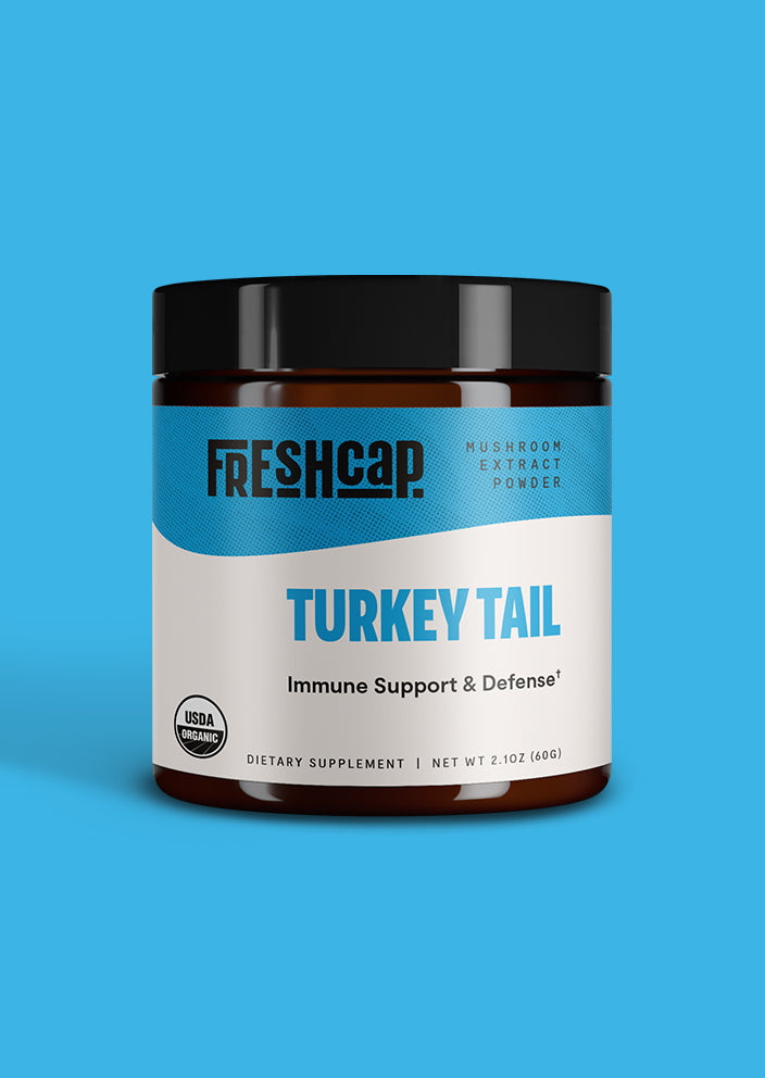 Turkey Tail Mushroom Extract Powder – 10,000mg Immune & Digestive Support