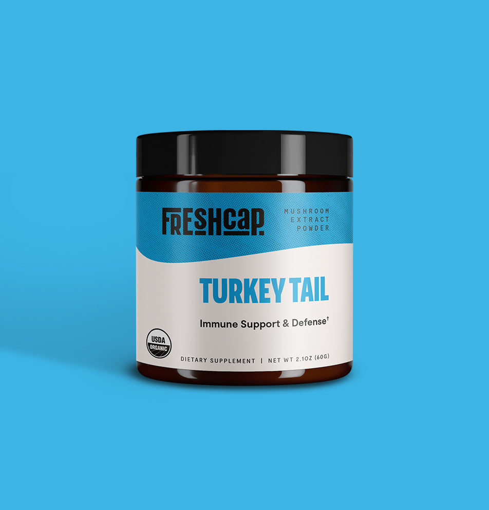 Turkey Tail Mushroom Extract Powder – 10,000mg Immune & Digestive Support