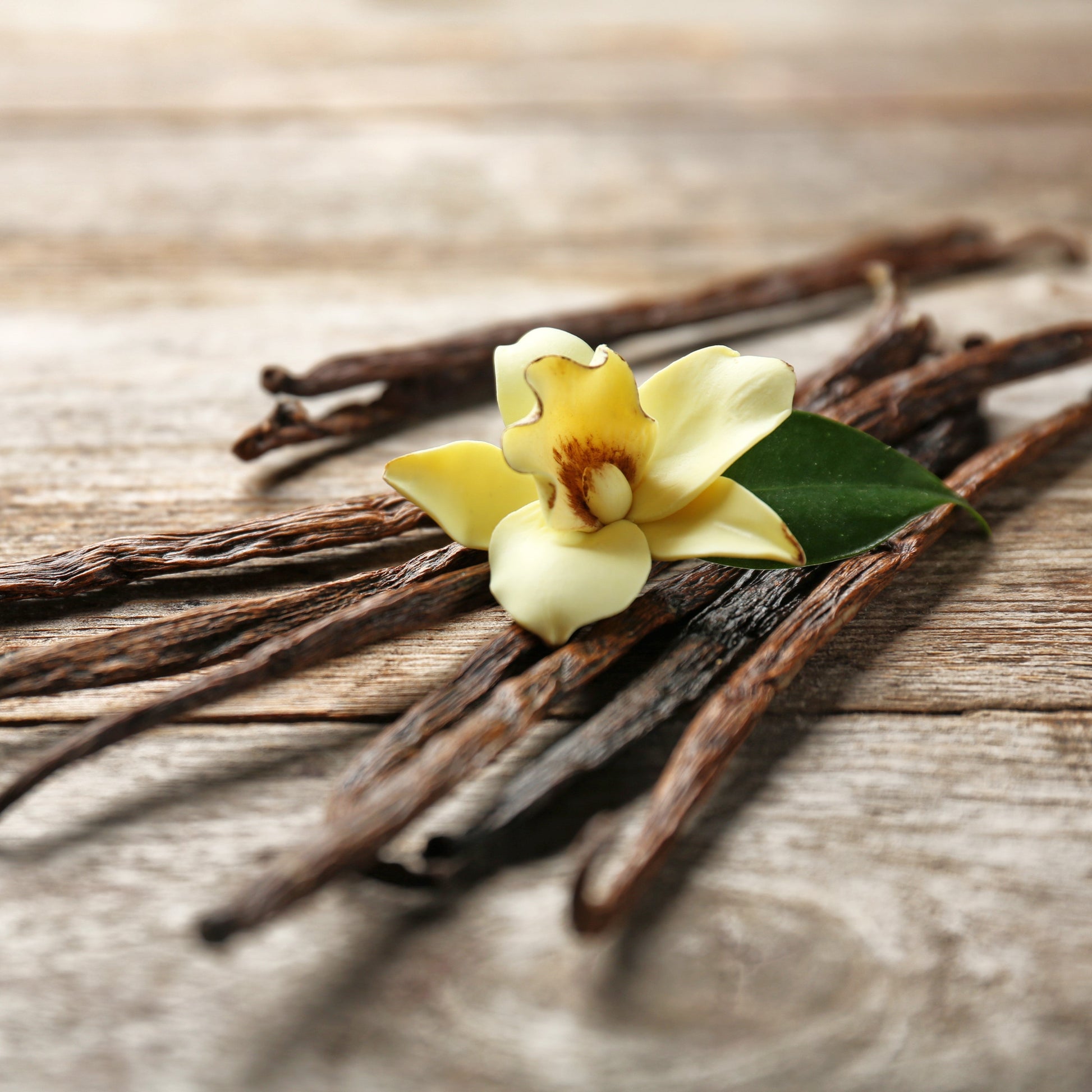 Vanilla Essential Oil – Essential_Oil