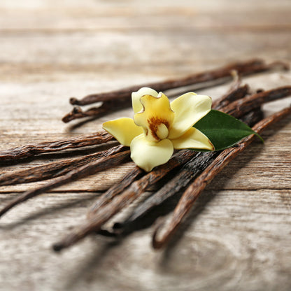 Vanilla Essential Oil – Essential_Oil