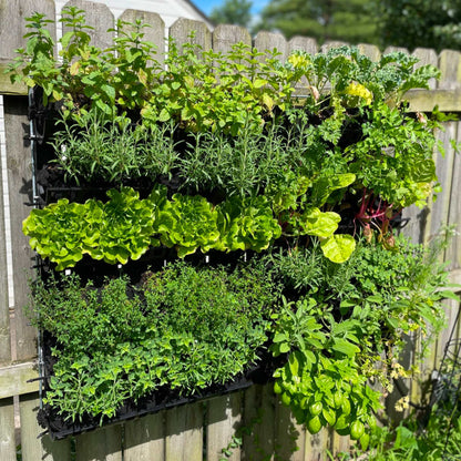 Varden™ Kitchen Garden –