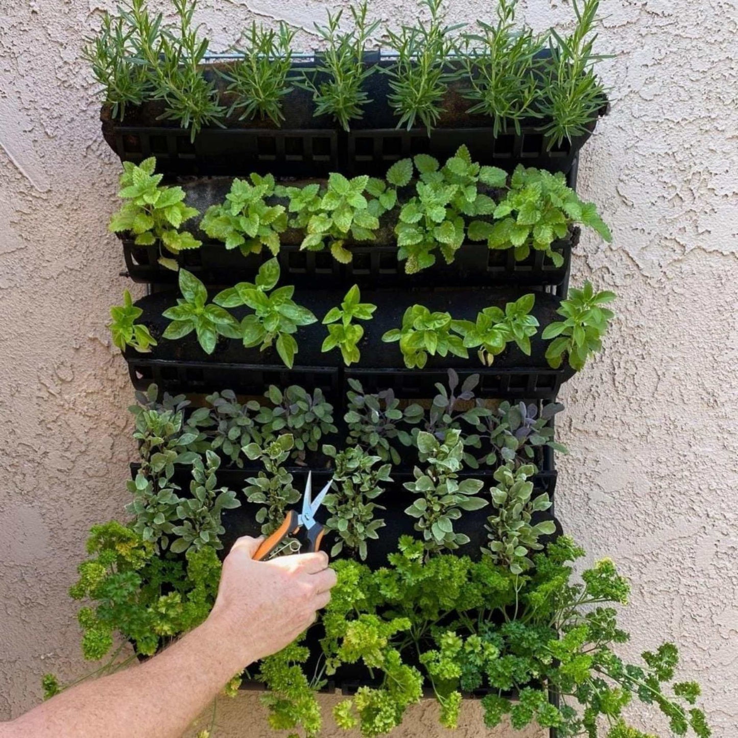 Varden™ Kitchen Garden –