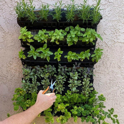 Varden™ Kitchen Garden –