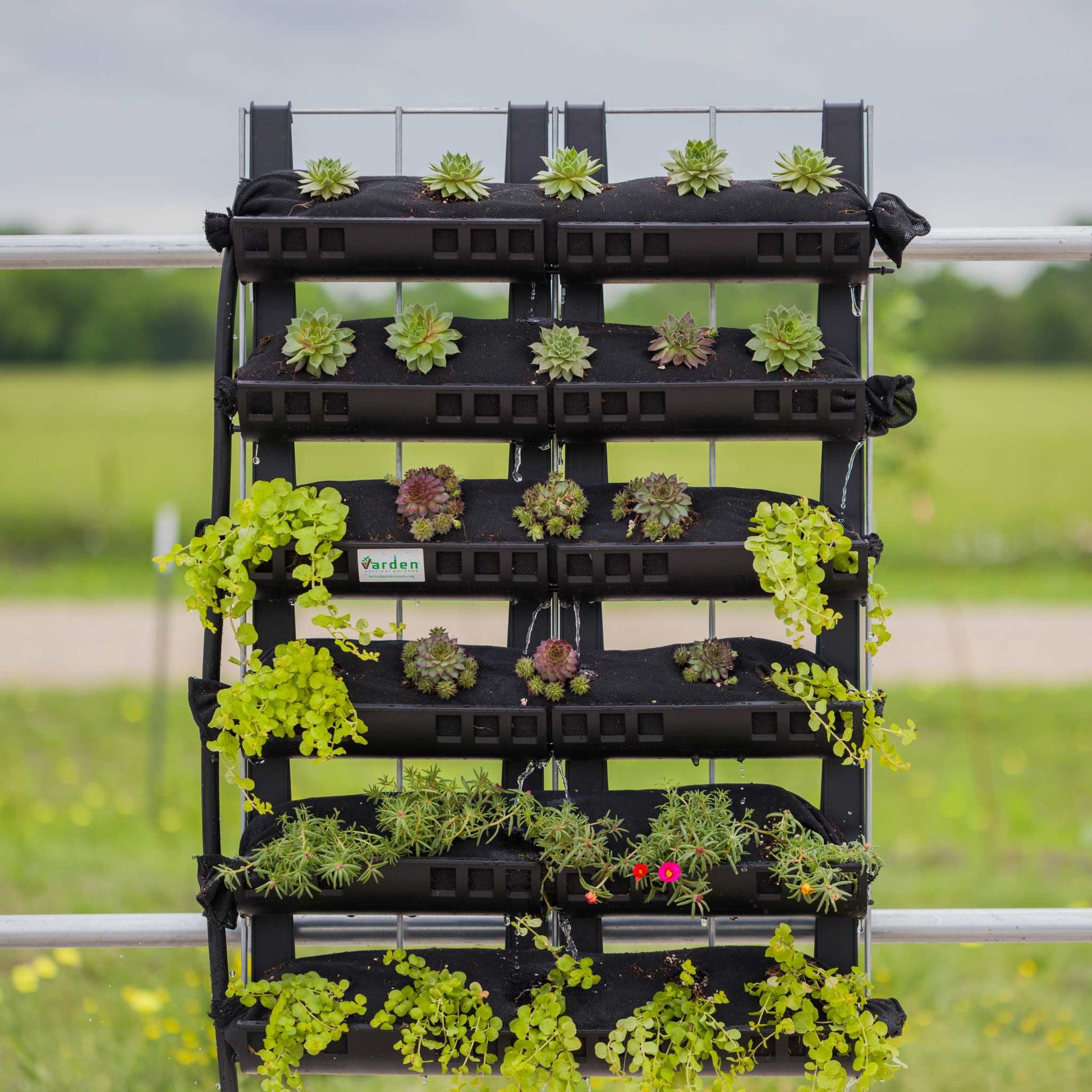 Varden™ Kitchen Garden –