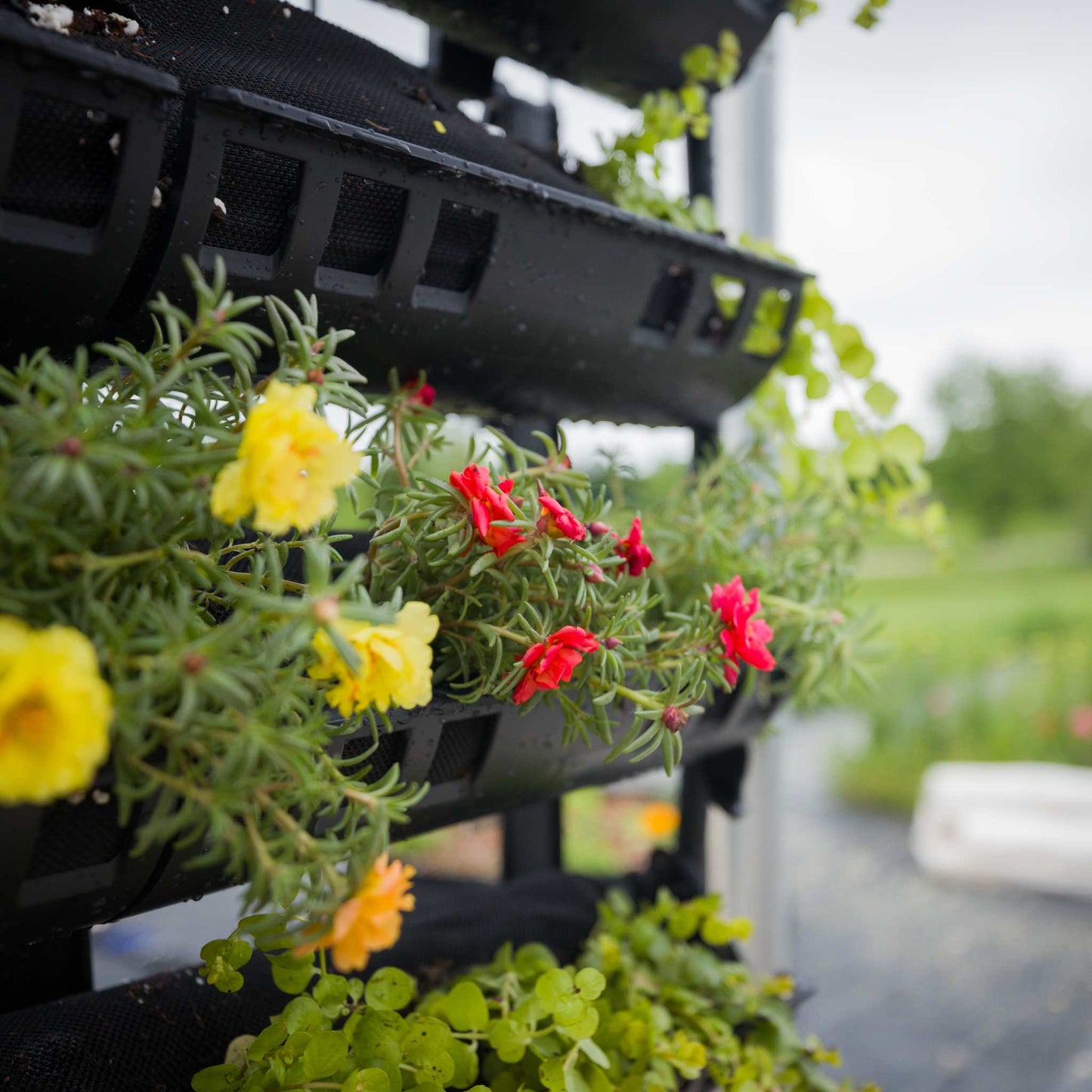 Varden™ Kitchen Garden –