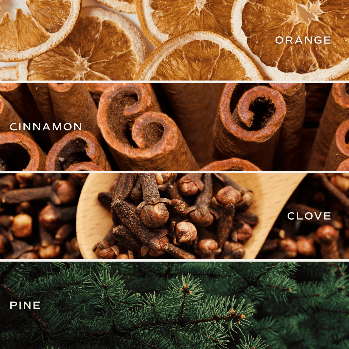 Warm & Cozy Reed Diffuser - Pine Citrus Spice – Reed Diffusers