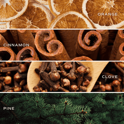 Warm & Cozy Reed Diffuser - Pine Citrus Spice – Reed Diffusers