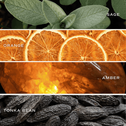 Weekend Reed Diffuser - Lavender Amber Sage – Reed Diffusers