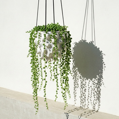 The Creature Orb Hanging Planter Pot With Drainage – White Pots & Planters