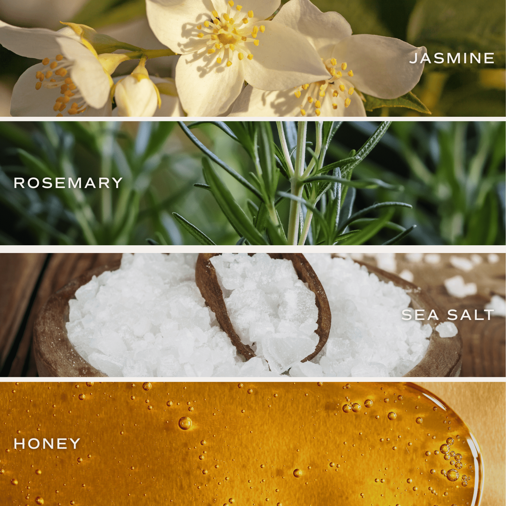 Wildflowers & Salt Reed Diffuser - Floral Sea Salt Amber – Reed Diffusers