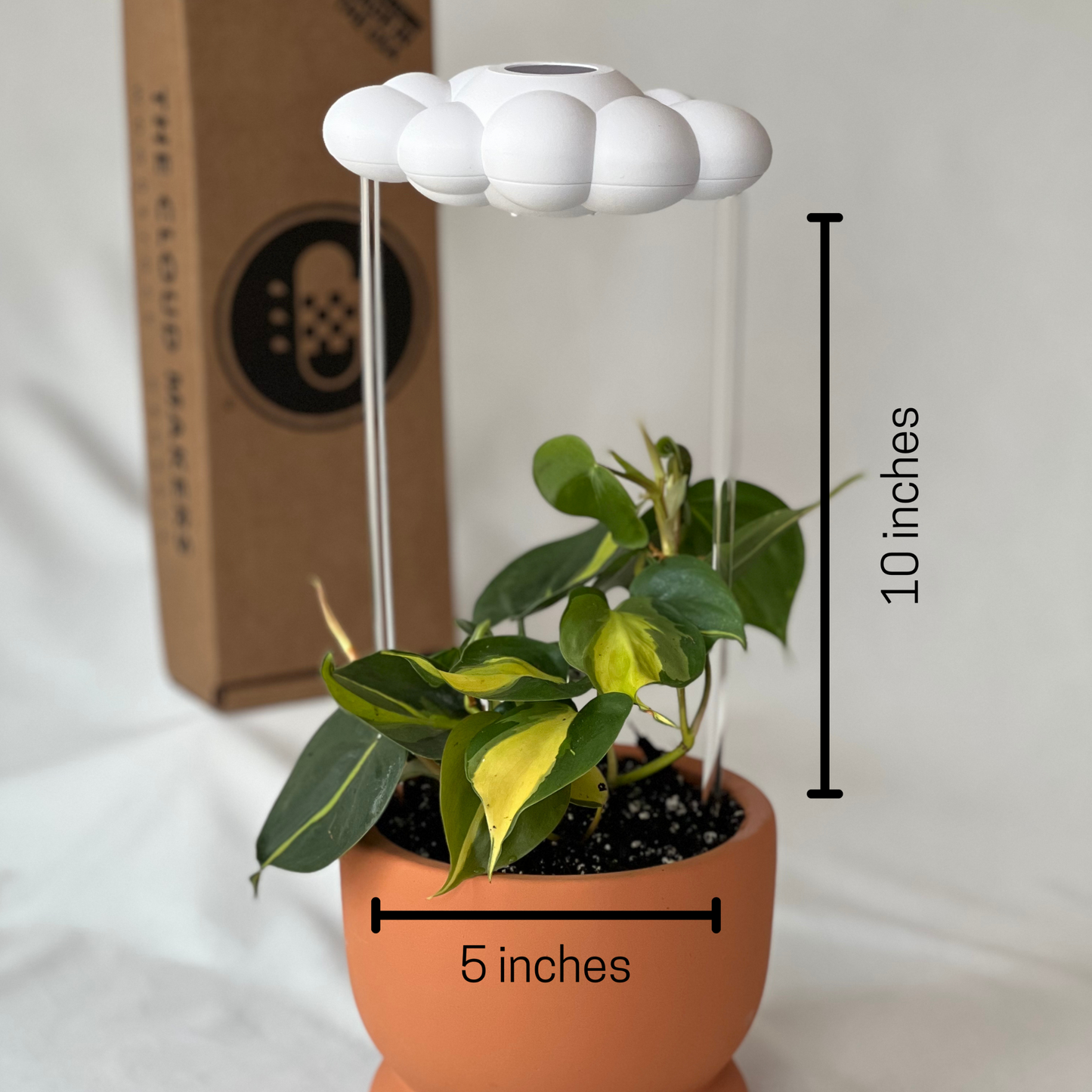 Chelsea Cloud Plant Waterer - Rain Cloud Planter – House Plant Accessory