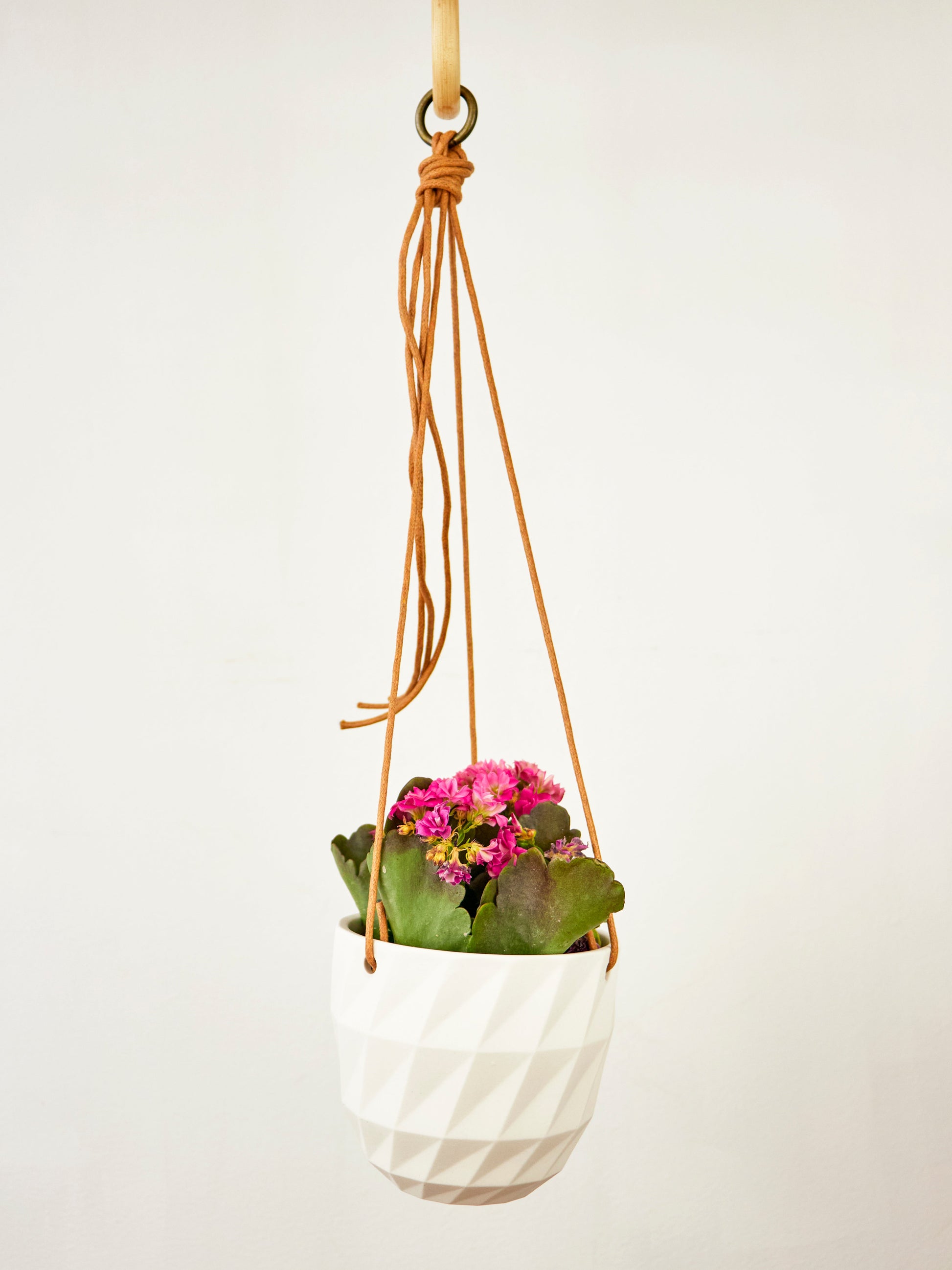 Virago Modern Hanging Planter- Grid – plant pot