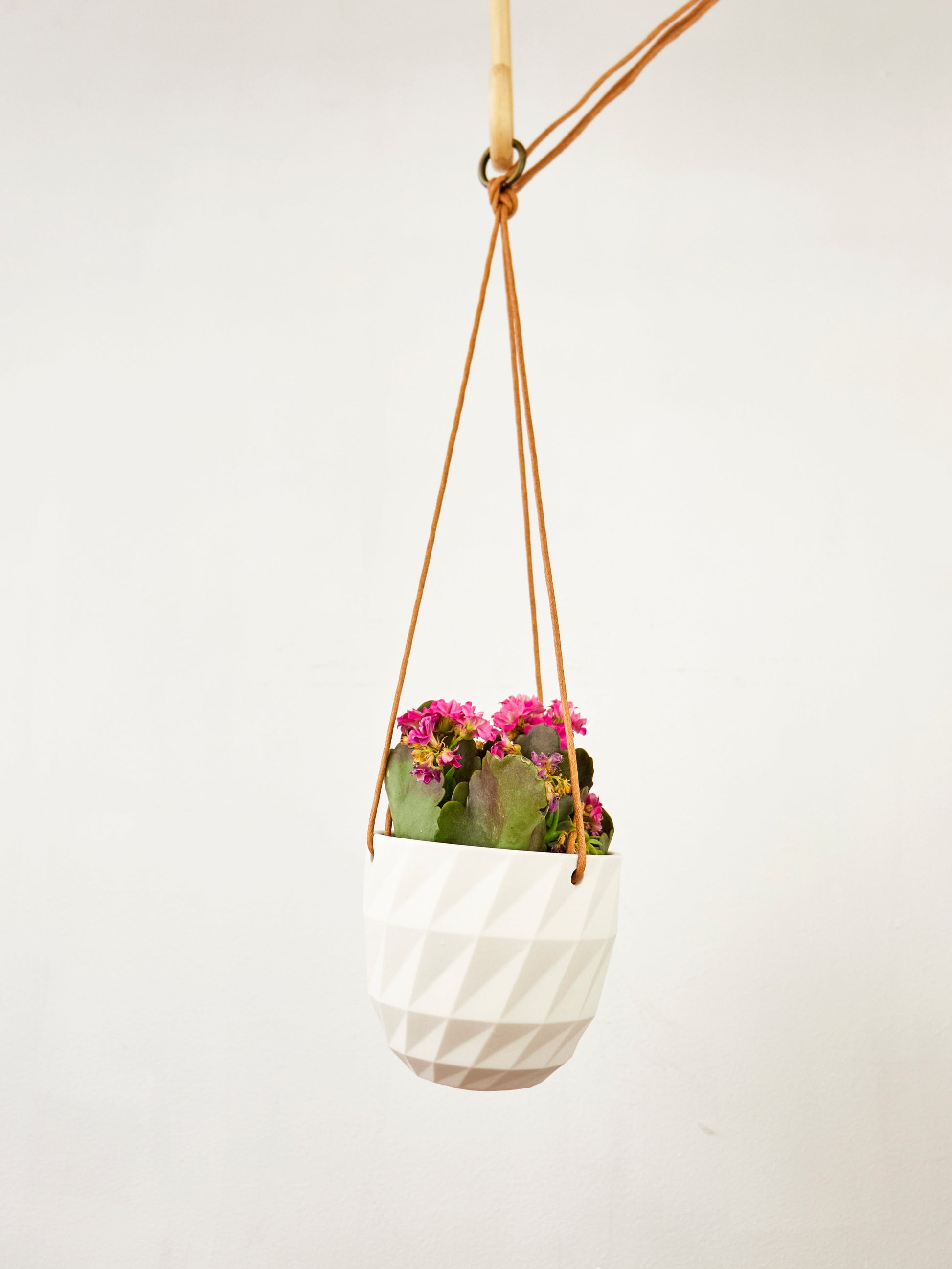 white geometric hanging planter Virago Modern Hanging Planter- Grid – Moon Water Apothecary