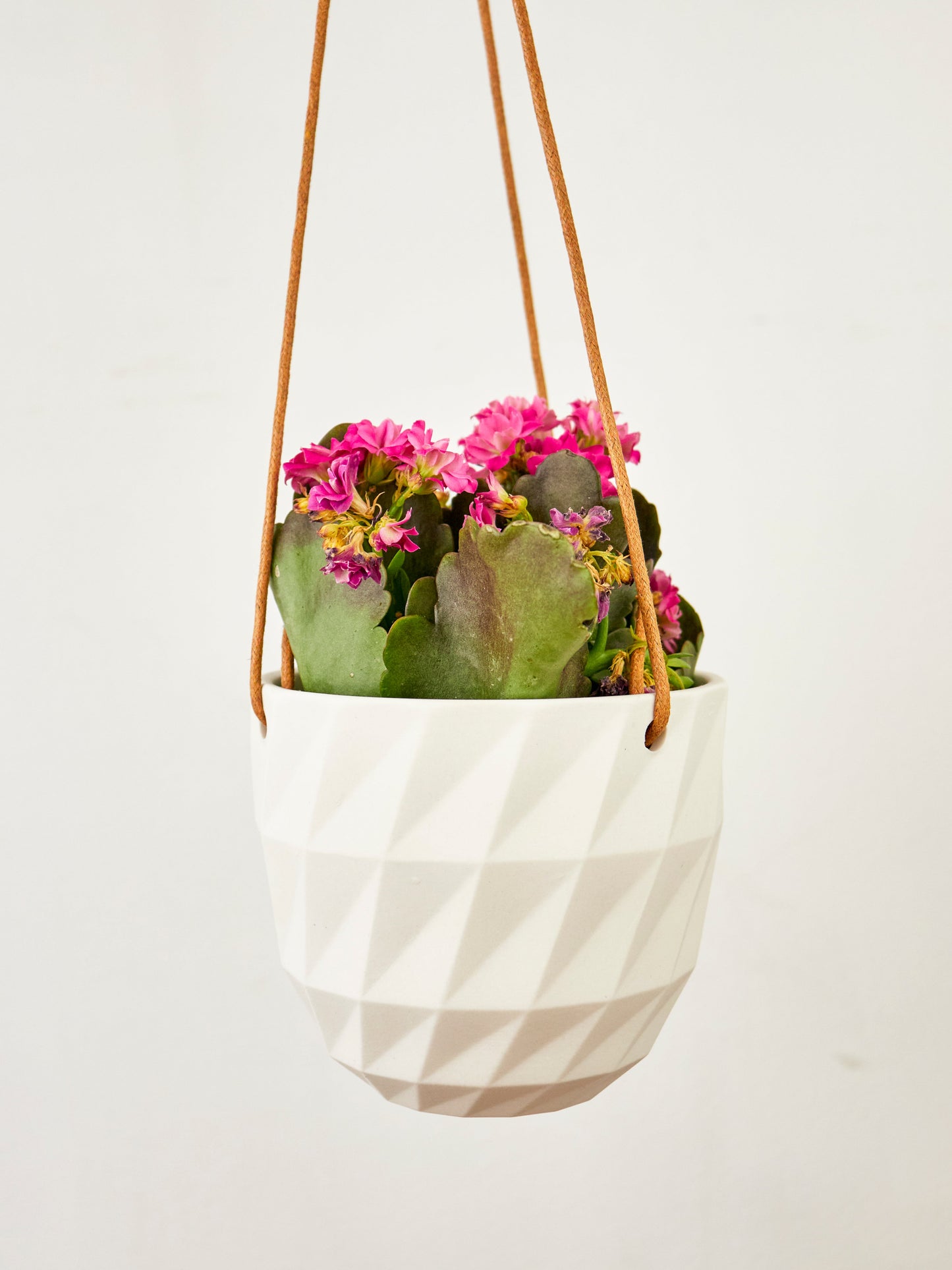 Virago Modern Hanging Planter- Grid – plant pot